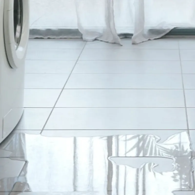 Appliance Leak Cleanup in Woodford County, IL