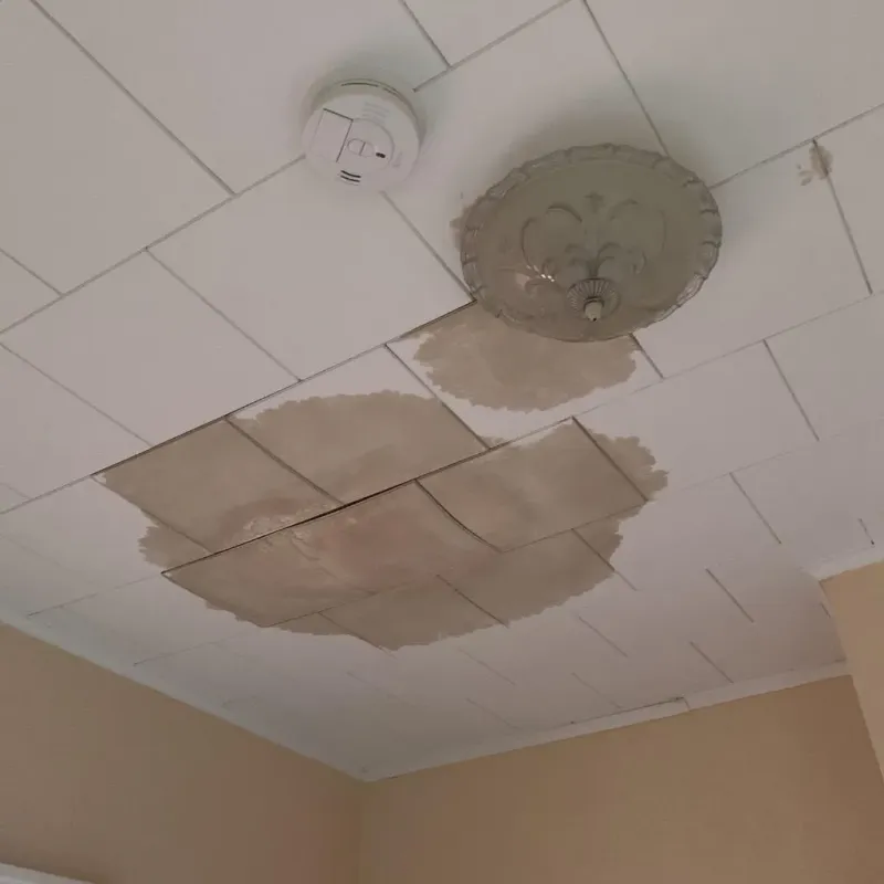 Ceiling Water Damage Repair in Woodford County, IL