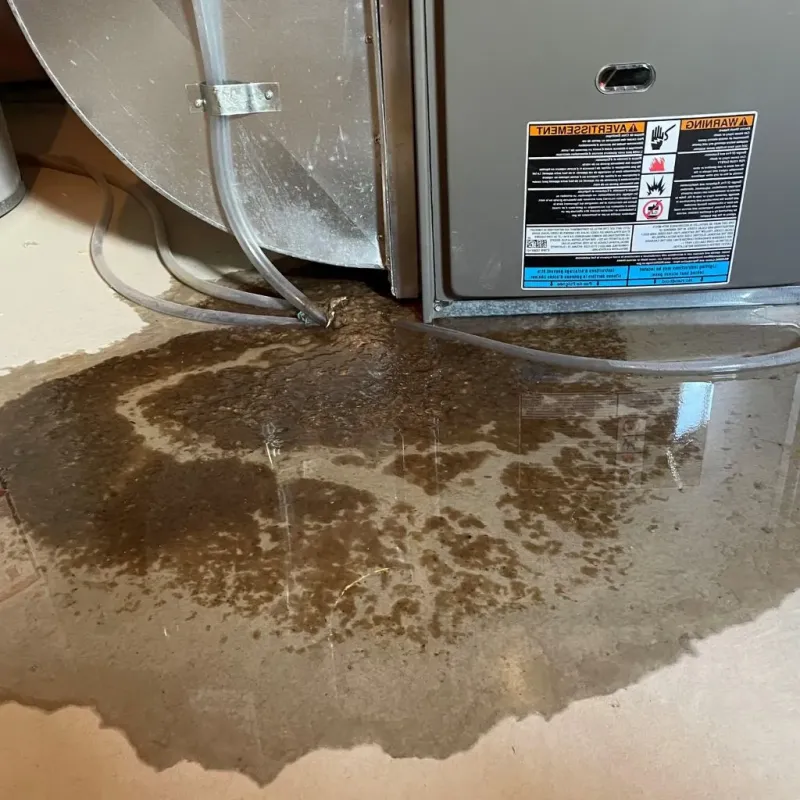 Pipe Burst and Leak Restoration in Woodford County, IL