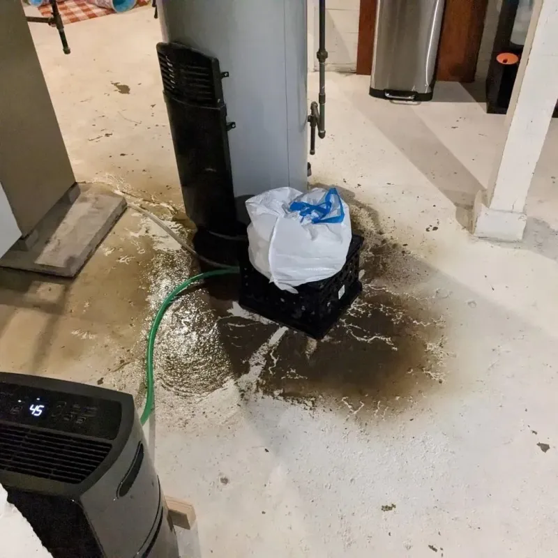 Sewage Backup Cleanup Service in Woodford County, IL
